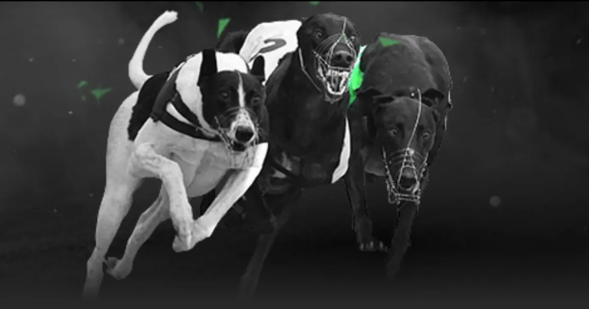 泰州荣耀巡,苏超冠军奖,杯惊艳亮相,bet365最新网址,中文bet365,BET365体育