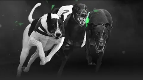 泰州荣耀巡礼：苏超冠军奖杯惊艳亮相海陵老街，全民共鉴辉煌时刻！